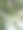 树叶和云彩。极简主义的照片，手机壁纸。农业和树木护理图片下载