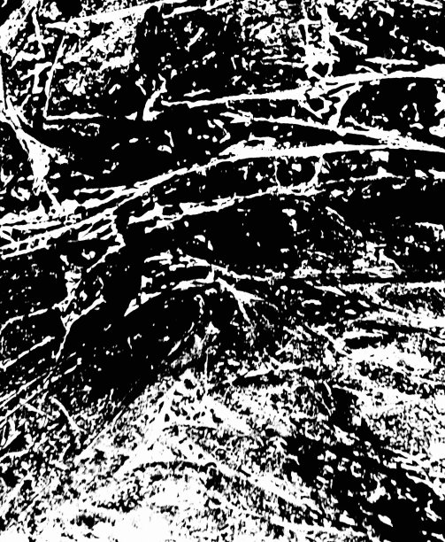照片的黑白打印从油墨皱纹塑料。图片下载