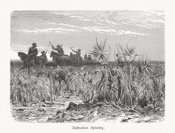 内澳大利亚斯宾尼费斯草原，木刻，1897年出版图片下载