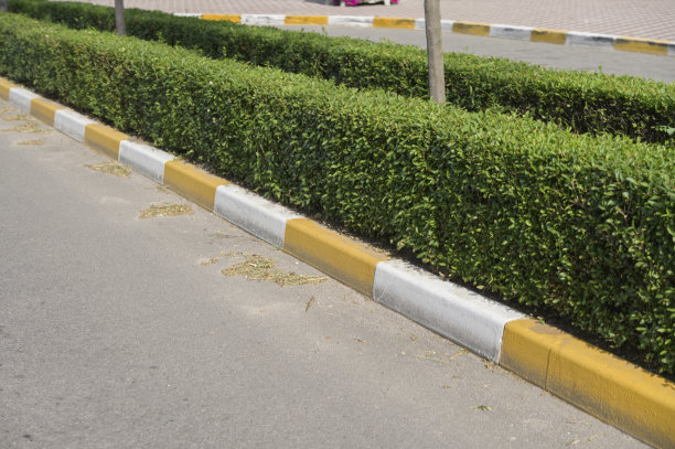 绿化空间，人行道，石头边界图片下载