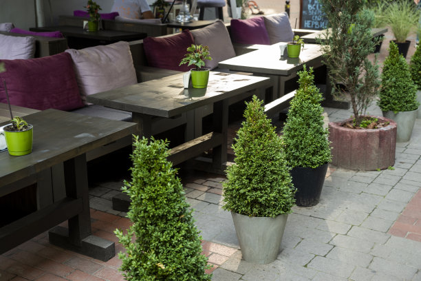 鲜花在花盆和盆的地方，作为设计和装饰的元素图片下载