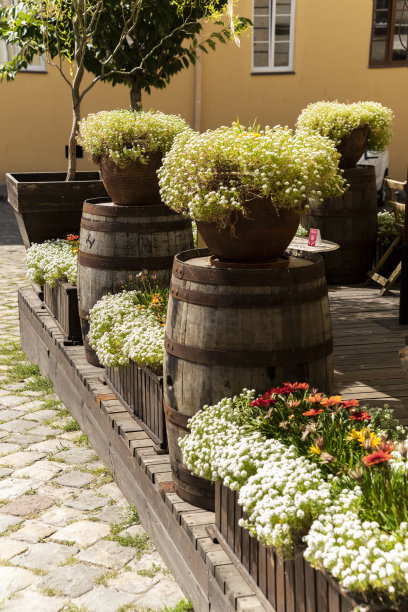 鲜花在花盆和盆的地方，作为设计和装饰的元素图片下载