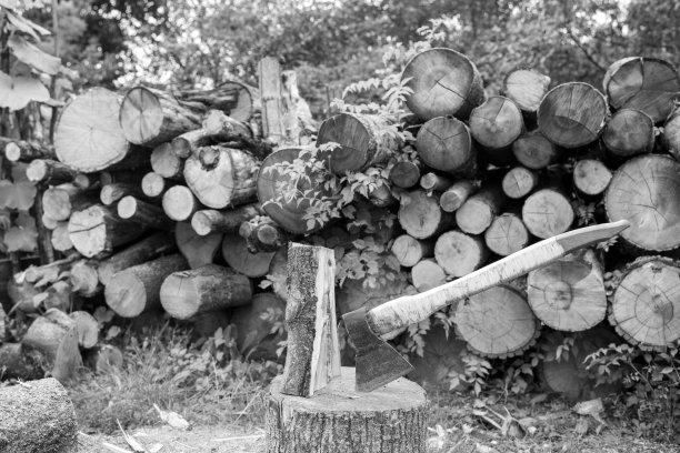 主题摄影:木柄大钢斧图片下载