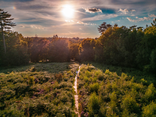 鸟瞰骑在森林小路上的自行车手图片下载
