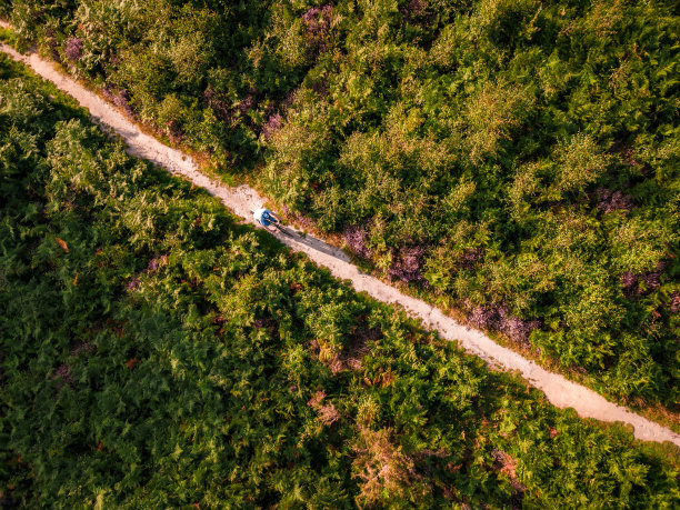 鸟瞰骑在森林小路上的自行车手图片下载