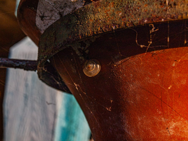 一个古老的砖红色花盆在阳光下悬挂着，一只蜗牛永远睡着了图片下载