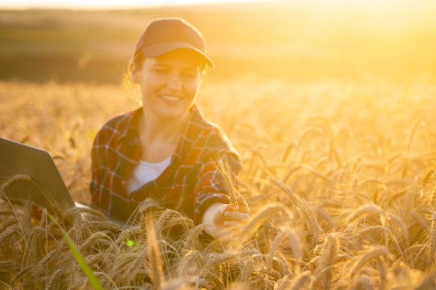 农民在麦田里用笔记本电脑工作图片下载