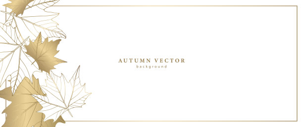 极简主义秋季框架的照片和文字与金色枫叶在白色的背景。秋季明信片，文凭和演讲的背景。图片下载