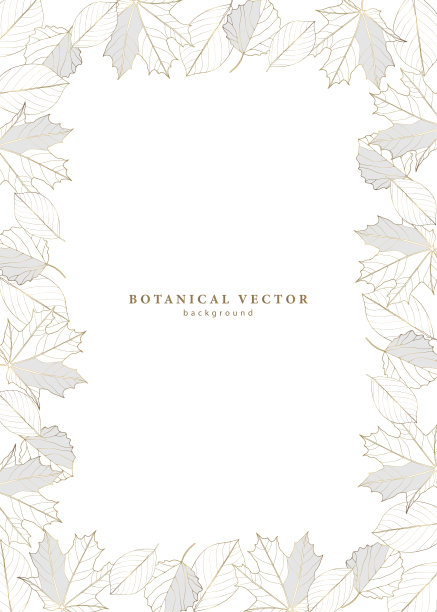 垂直植物框架与不同的叶子在一个白色的背景。框架文字，照片，文凭，明信片，邀请。图片下载
