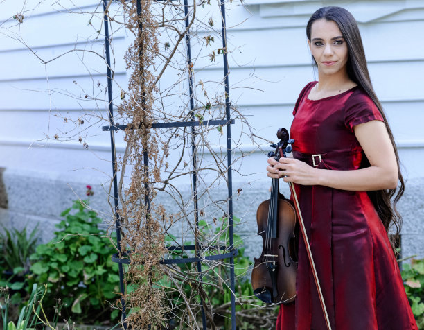 和小提琴在一起图片下载