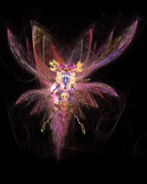 夜蛾，抽象的设计元素图片下载