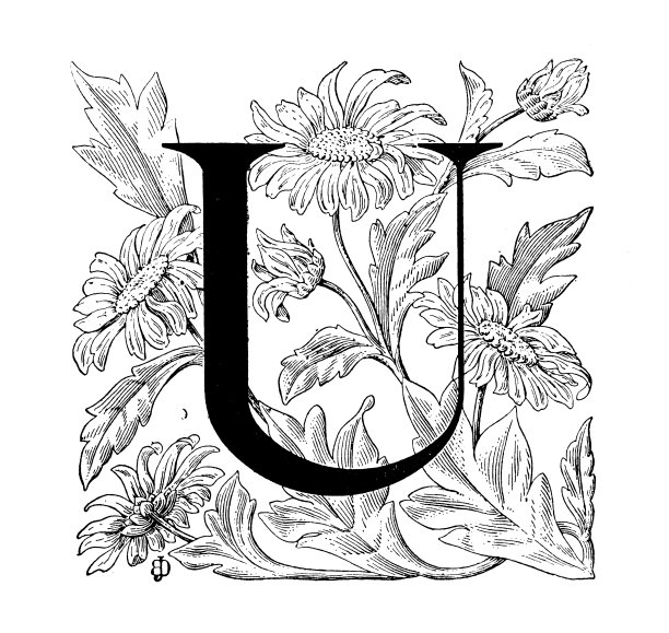 古董艺术雕刻插图:华丽的字母U图片下载