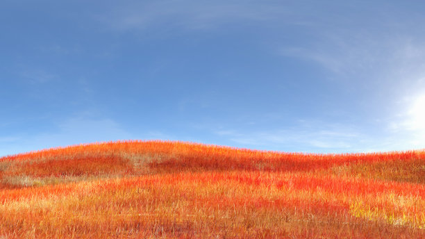 宁静的数码景观图片下载