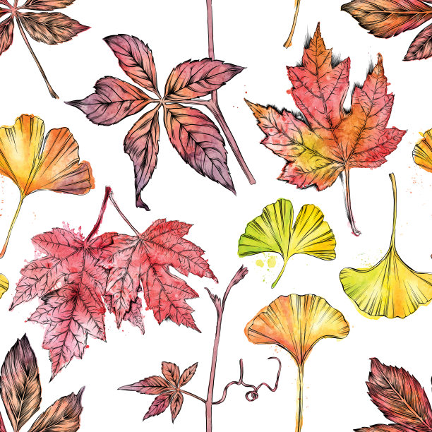 秋叶无缝模式矢量墨水和水彩插图图片下载