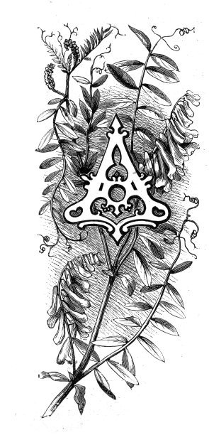 花卉大写字母A图片下载