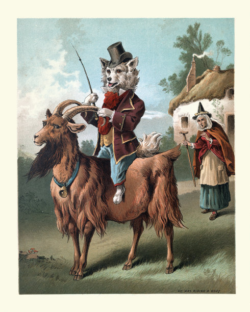 哈伯德老母，儿歌，狗骑着山羊图片下载