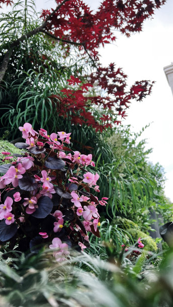 花园的幻想图片下载