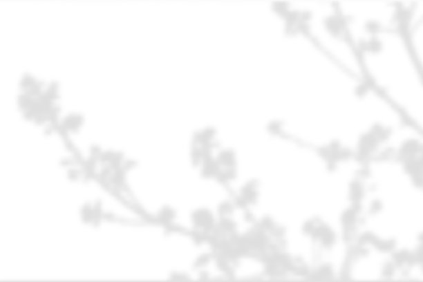 现实矢量透明叠加模糊的阴影的枝叶图片下载