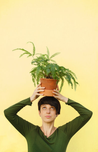 一名女子头顶室内植物蕨类植物，背景为黄色图片下载