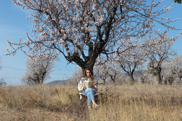 风景全景图，坐在一棵杏树下看书的女人图片下载