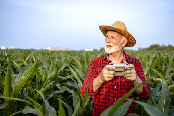 农学家驾驶农业无人机监测玉米田并在收获前收集数据。图片下载