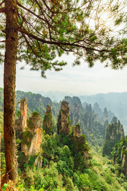 石英砂岩柱的壮丽景色(阿凡达山脉)图片下载
