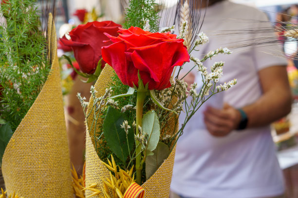 4月23日，西班牙加泰罗尼亚的圣乔尔迪庆祝活动，红玫瑰和麦穗。图片下载