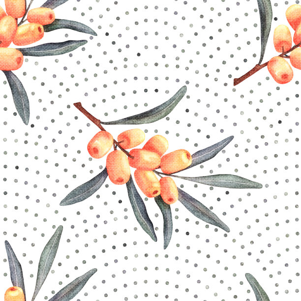 水彩沙棘装饰无缝图案。图片下载