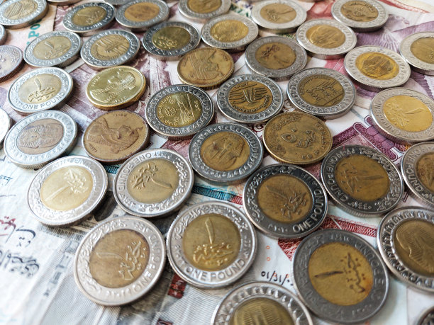 埃及硬币、纸币：1埃及镑金属金币，50及25埃镑图片下载