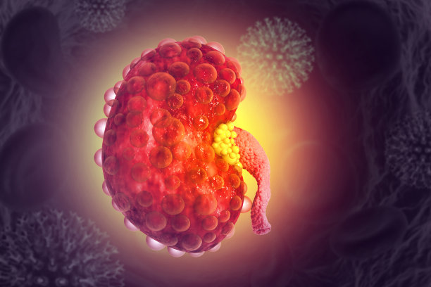 慢性肾脏疾病。三维演示图片下载