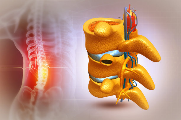 脊椎疼痛，背部疼痛，用红色标出。三维演示图片下载