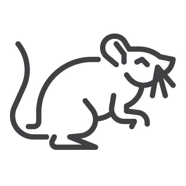 鼠标动物线图标图片下载