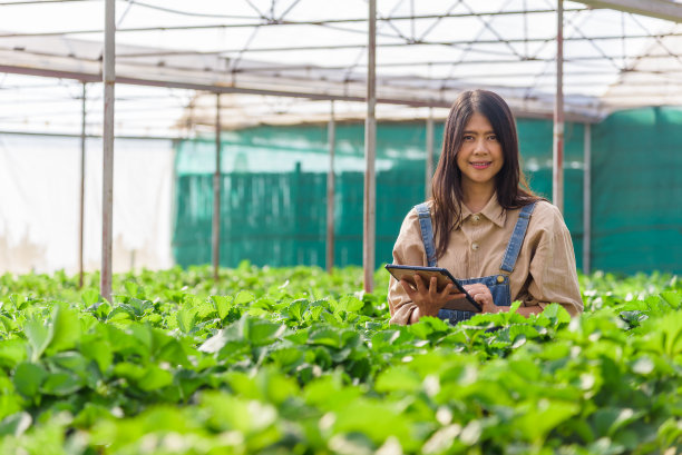在草莓大棚工作的现代女农场主，在农场、经营农业和科技理念中拥有平板电脑的幸福女人。图片下载