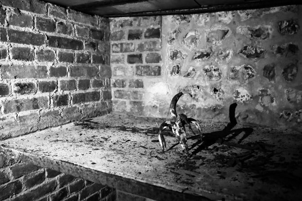 复古黑暗的酒窖里存放着非常古老的葡萄酒图片下载