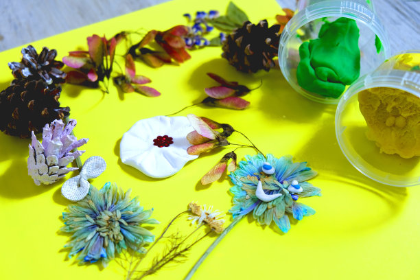 秋天的工艺品。孩子们用橡皮泥用天然的干植物、花、草和树叶制作工艺品。回到学校，学习自然历史。关于儿童艺术的想法图片下载