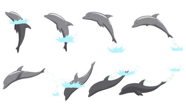 海豚跳出水面动画。海豚在海洋中表演杂技跳跃的插图。非常适合海洋生物或暑假设计图片下载
