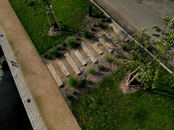 岸边露台上的横梁上的台阶。两旁是装饰性的床和菩提树的林荫道。改善了水面附近的公园，一条自行车道和渔民船只的系泊桩图片下载