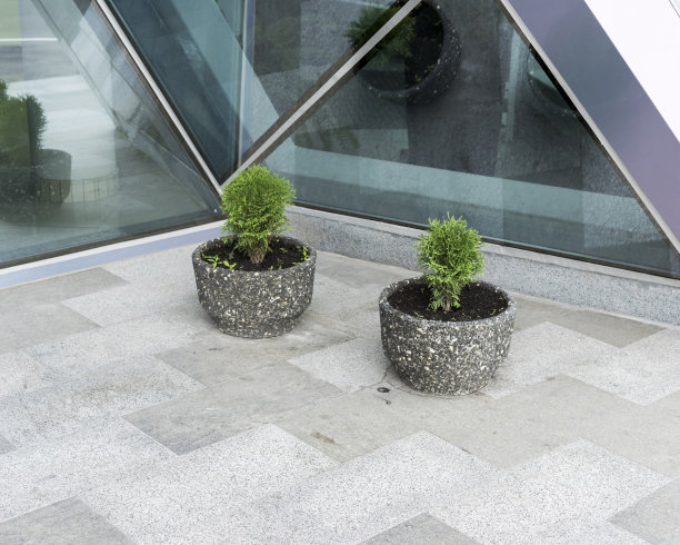 石盆花卉，点缀城市环境的植物图片下载