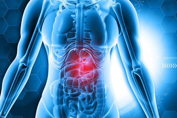 人体解剖，蓝色背景图片下载