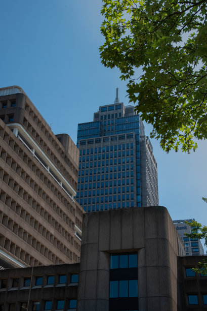 公园里的现代化办公大楼图片下载