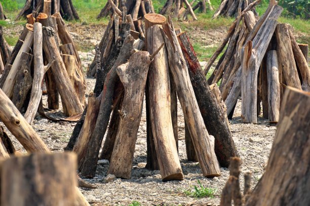 采购产品锯木，锯原木，柴火，木材，木材销售。图片下载