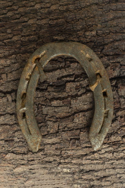 木头上生锈的马蹄铁图片下载