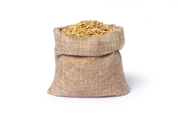 稻谷在麻袋内，孤立在白色上图片下载