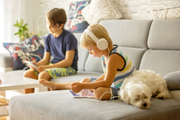 在家用平板电脑看电影的可爱男孩，旁边躺着可爱的马尔济斯犬图片下载