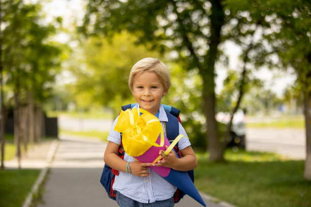 可爱的金发儿童在捷克共和国的开学日拿着糖果甜筒图片下载
