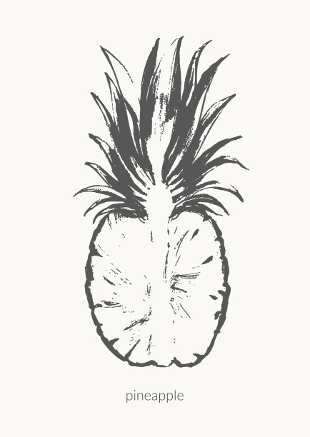 手绘热带水果插图图片下载