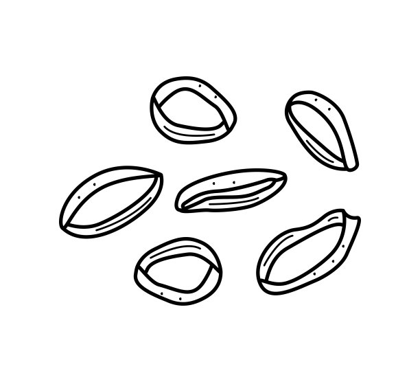 干或炸洋葱鱿鱼圈，涂鸦卡通矢量。啤酒小吃的插图。图片下载