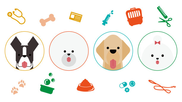 一组图形和简单的狗图标(波士顿梗，比雄卷毛，金毛猎犬，马耳他)图片下载