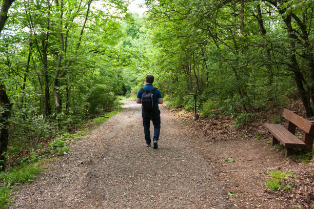 在森林中漫步图片下载