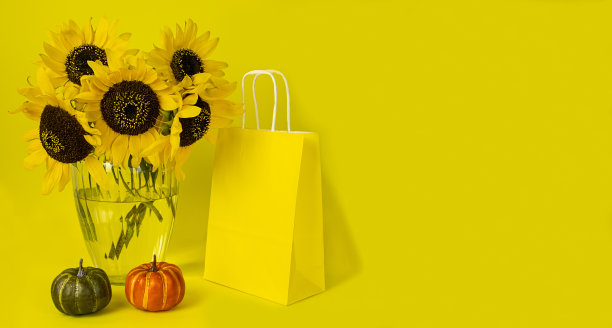 一个花瓶里的向日葵，一个南瓜和一个黄色背景的纸袋。横幅图片下载